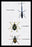 Beetles: Brentus Anchorago, Curculio Geoffroyii et al. #1 20x30 poster