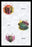 Beetles of Sumatra, Java and America #1 20x30 poster