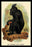 The Celebean Black Baboon 20x30 poster