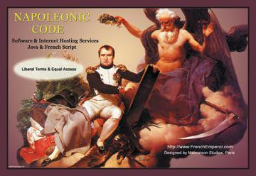 Napoleonic Code: Software & Internet Hosting Services 20x30 poster