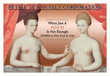 Petite Teton Salt Corporation 20x30 poster