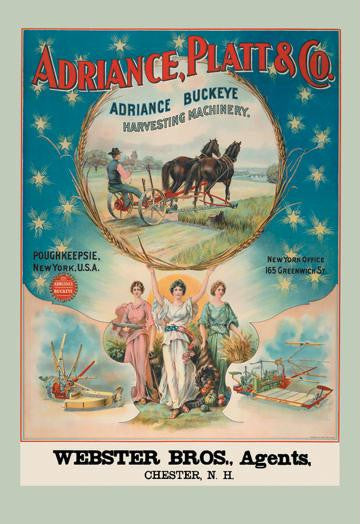 Adriance, Platt and Co., Poughkeepsie, NY 20x30 poster