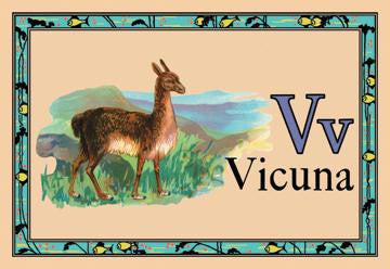 Vicuna 20x30 poster