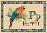 Parrot 20x30 poster