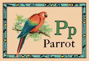 Parrot 20x30 poster