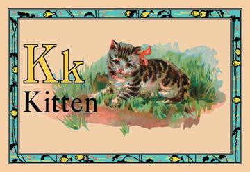 Kitten 20x30 poster