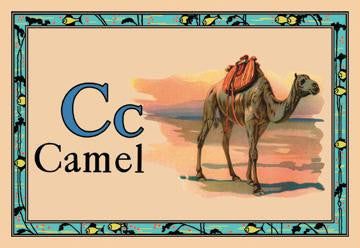 Camel 20x30 poster