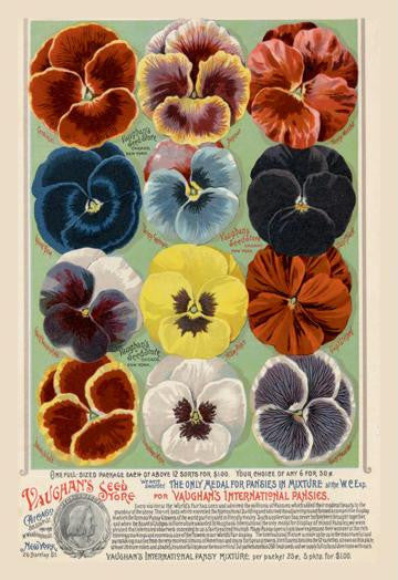 Vaughan&#39;s Seed Store - Pansies 20x30 poster