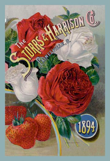 The Storrs and Harrison Co., 1894 20x30 poster