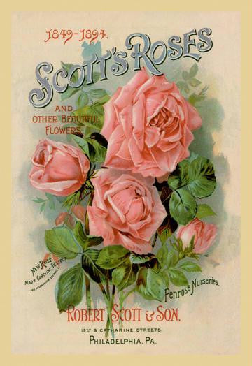 Scott&#39;s Roses and Other Beautiful Flowers 20x30 poster