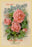 Scott&#39;s Roses and Other Beautiful Flowers 20x30 poster