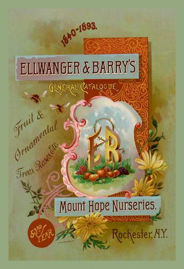 Ellwanger and Barry&#39;s General Catalogue 20x30 poster