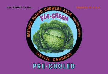 Fla-Green Green Cabbage 20x30 poster