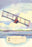 The Benoist Flying Boat, 1914 20x30 poster