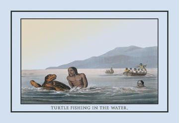 Turtle Fishing In The Water 20x30 poster