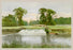 In Charlecote Park 20x30 poster