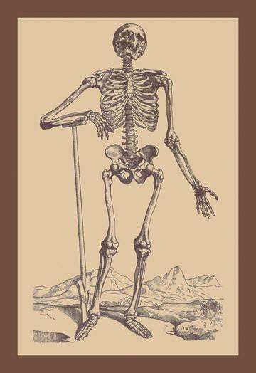 Skeleton with Shovel 20x30 poster