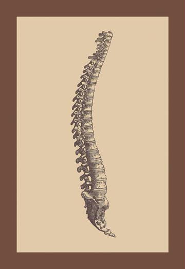 Backbone 20x30 poster