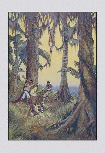 Robinson Crusoe: Nor Can I Tell  20x30 poster