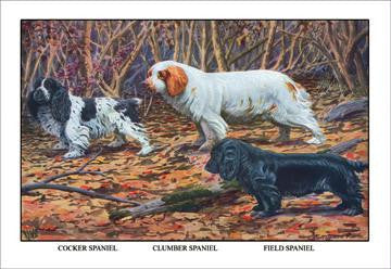 Cocker Spaniel, Clumber Spaniel, and Field Spaniel 20x30 poster