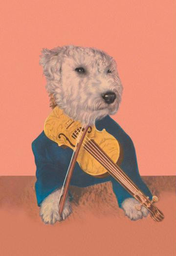 Dog with Violin 20x30 poster