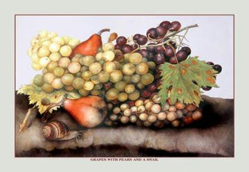 Grapes and Pears with a Snail 20x30 poster