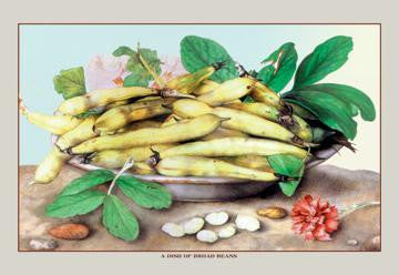 A Dish of Broad Beans 20x30 poster