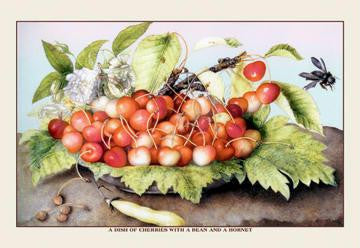 A Dish of Cherries With a Bean and a Hornet 20x30 poster