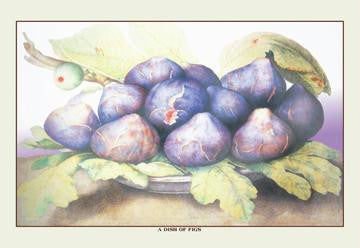 A Dish of Figs 20x30 poster