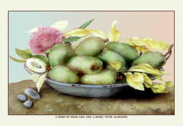 A Dish of Medlars, a Rose, and Almonds 20x30 poster