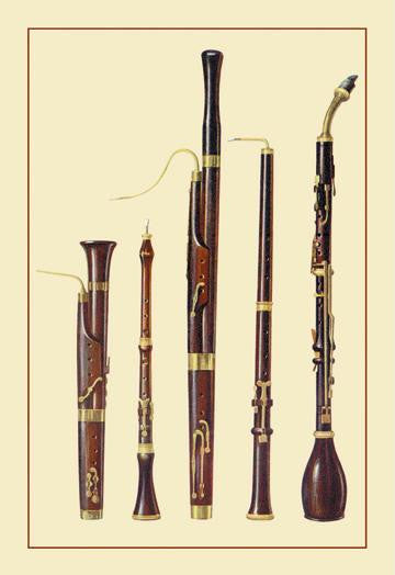 Dolciano, Oboe da Caccia, Oboe, Basset Horn and Bassoon 20x30 poster