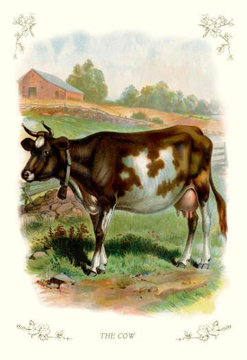 The Cow 20x30 poster