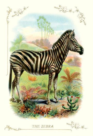 The Zebra 20x30 poster