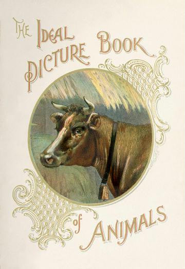 The Ideal Picture Book of Animals 20x30 poster