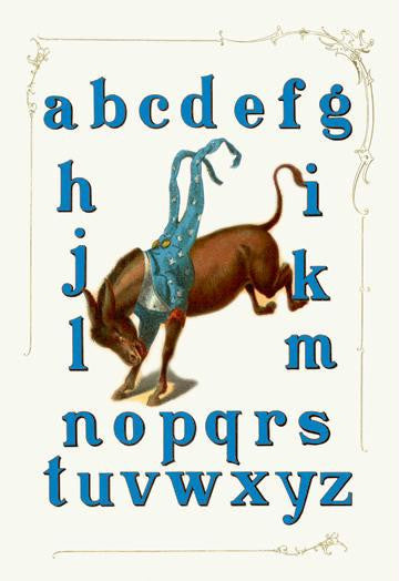 Democratic Party Alphabet 20x30 poster