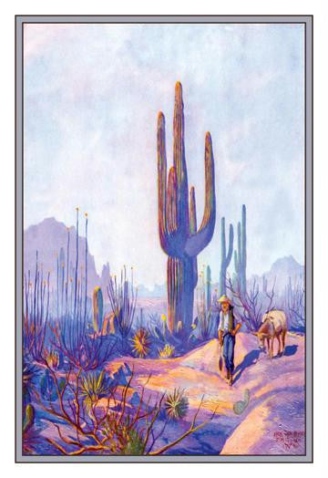 Cactus and Man 20x30 poster