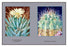 Leuchtenbergia Principis 20x30 poster