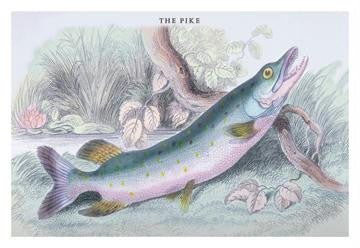 The Pike 20x30 poster