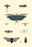 Insect Study #3 20x30 poster