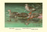 Four Duck Varieties 20x30 poster