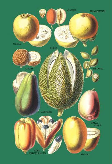 Fruits and Nuts #1 20x30 poster