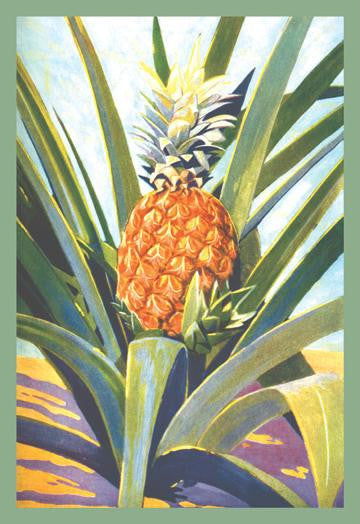 Pineapple 20x30 poster