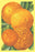 Oranges 20x30 poster