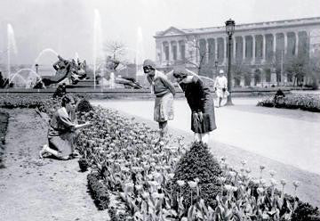 Ladies Picking Flowers, Philadelphia, PA 20x30 poster