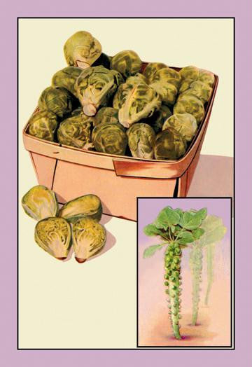 Brussel Sprouts 20x30 poster