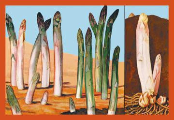 White and Green Asparagus 20x30 poster