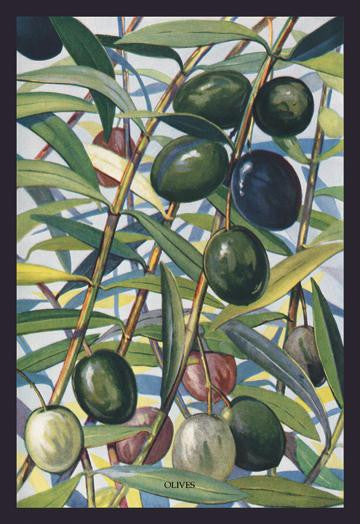 Olives 20x30 poster