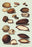 Nuts #2 20x30 poster