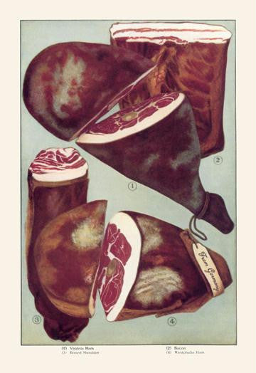 Ham and Bacon 20x30 poster