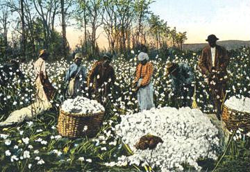 Cotton Field Workers 20x30 poster